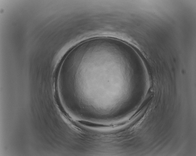 X0000068861511200605081227