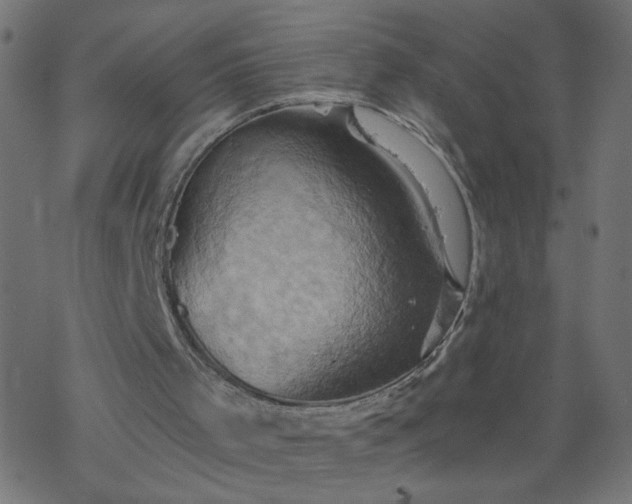 X0000068860001200605121929