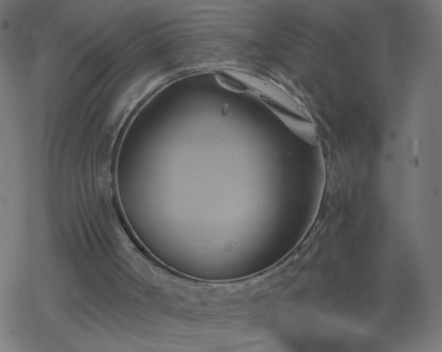 X0000068860002200605121929