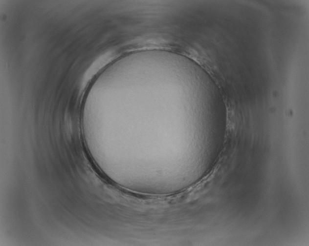 X0000068860004200605121929