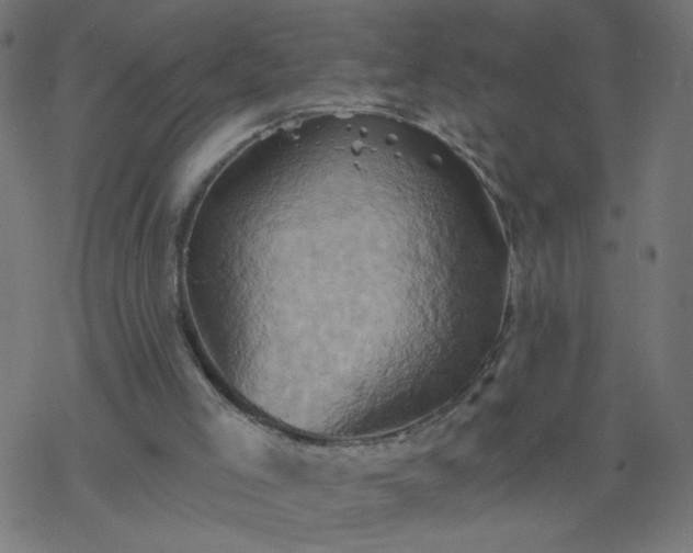 X0000068860005200605121929