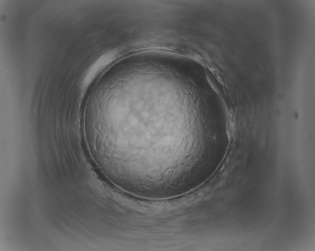 X0000068860006200605121929