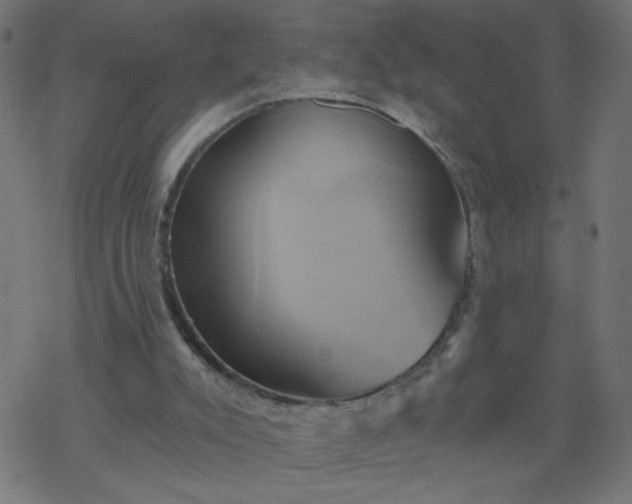 X0000068860007200605121929