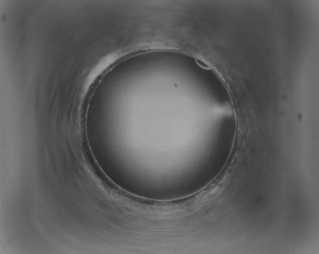 X0000068860008200605121929