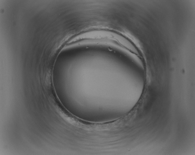 X0000068860009200605121929