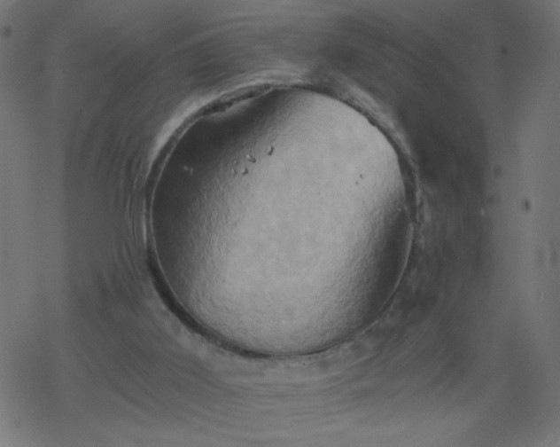 X0000068860011200605121929