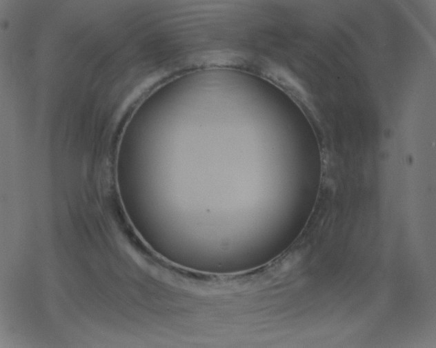 X0000068860012200605121929