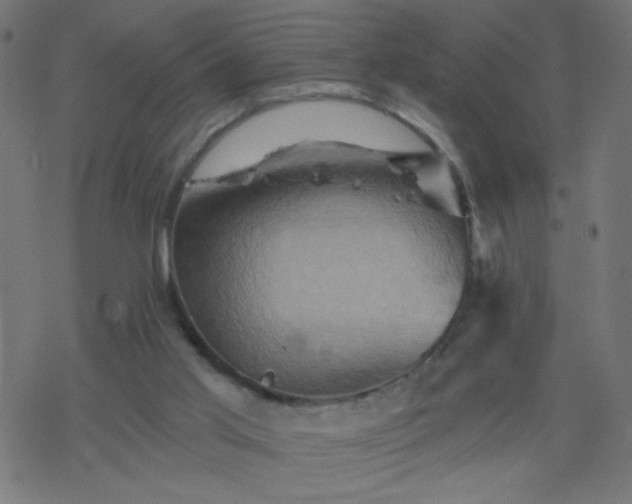 X0000068860013200605121929