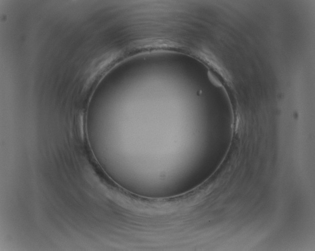 X0000068860014200605121929