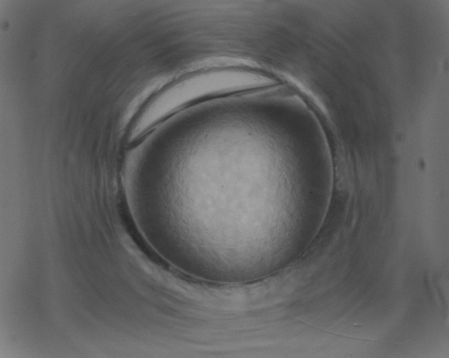 X0000068860015200605121929