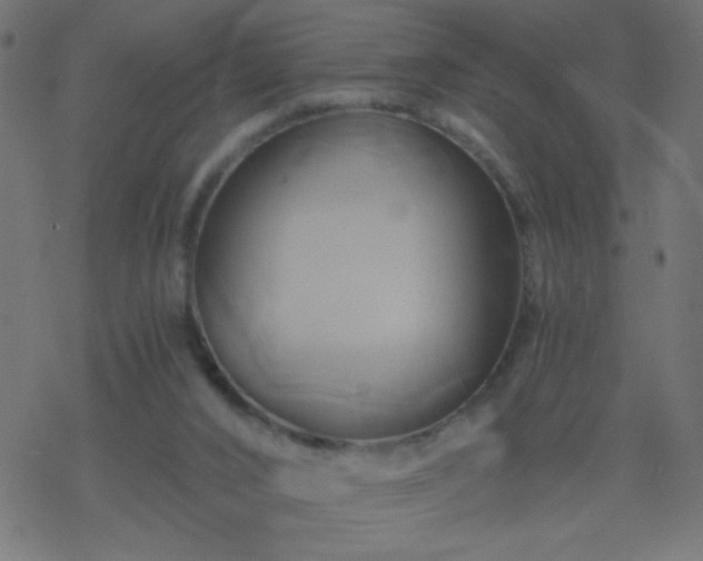 X0000068860016200605121929