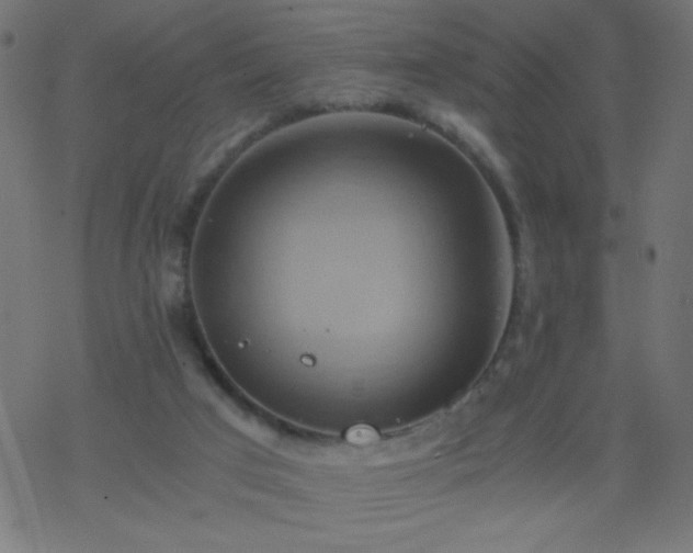 X0000068860017200605121929