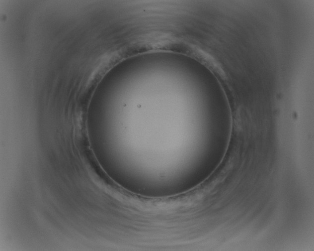 X0000068860018200605121929