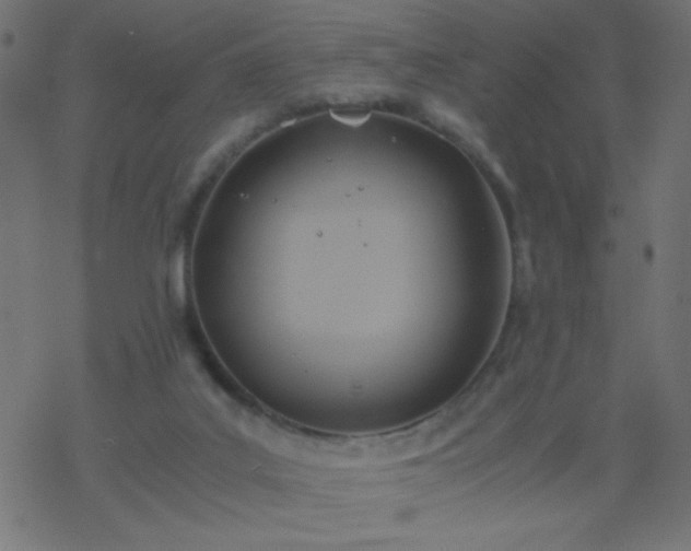 X0000068860019200605121929