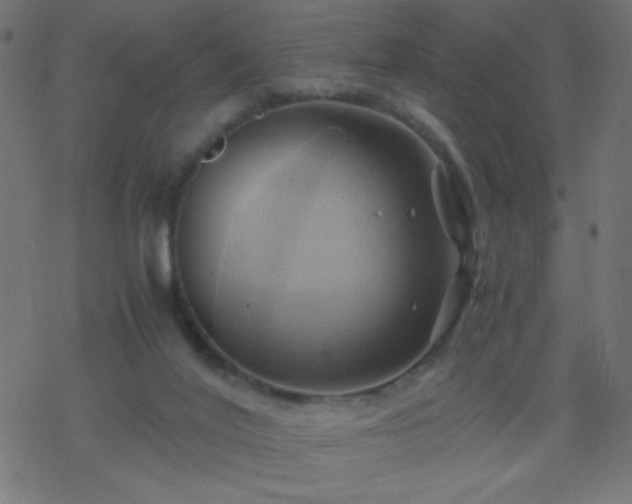 X0000068860020200605121928