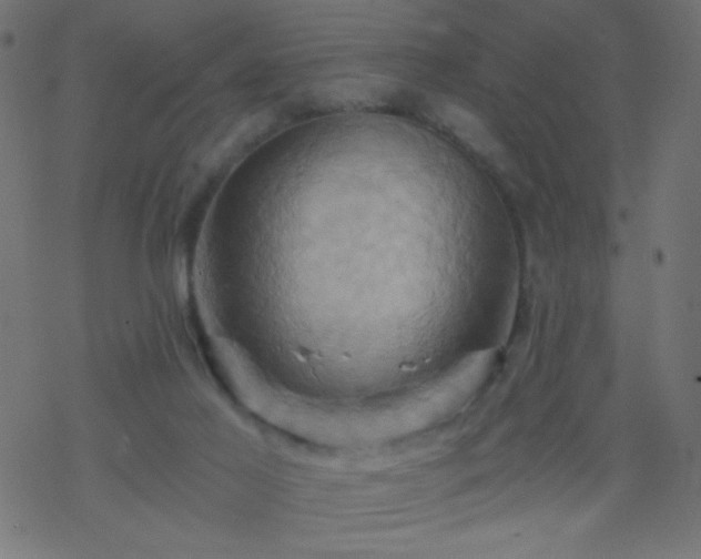 X0000068860021200605121928