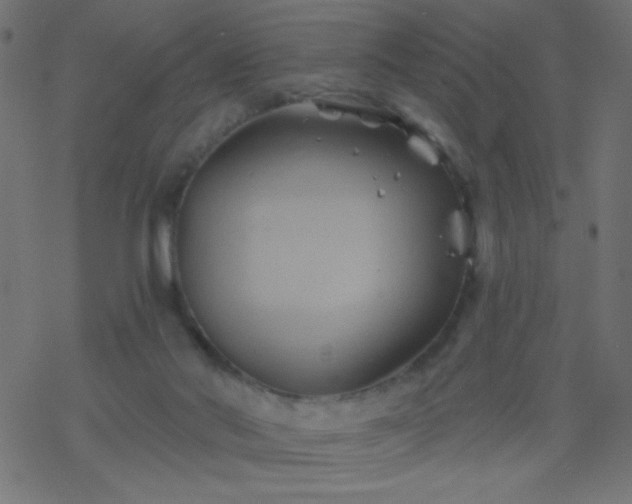 X0000068860022200605121928