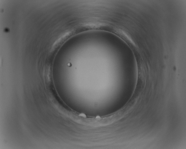 X0000068860023200605121928