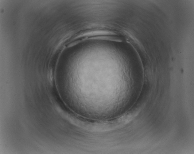 X0000068860024200605121928