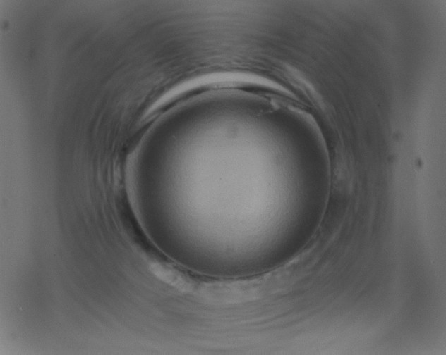 X0000068860025200605121928