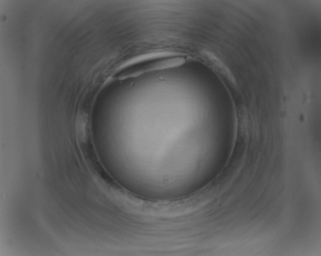 X0000068860026200605121928