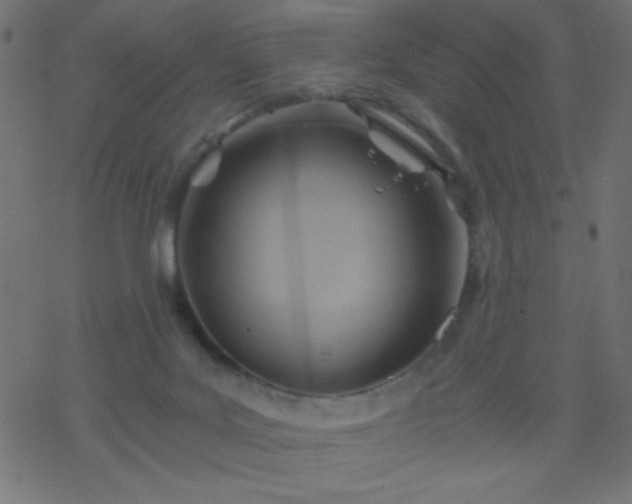 X0000068860027200605121928