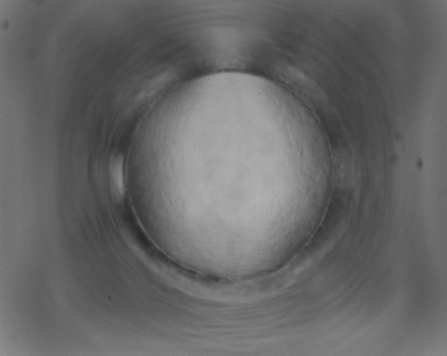 X0000068860028200605121928