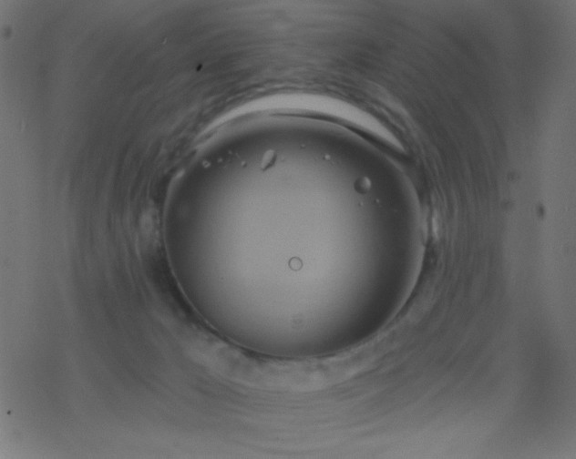 X0000068860029200605121928