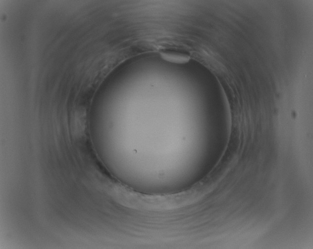 X0000068860030200605121928