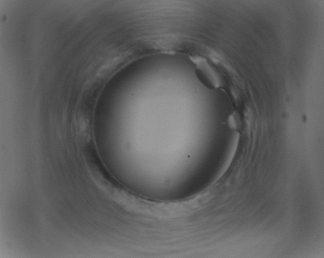 X0000068860031200605121928