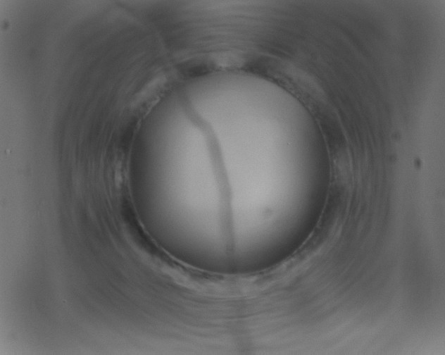 X0000068860032200605121928