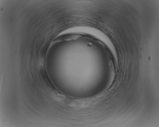 X0000068860033200605121928