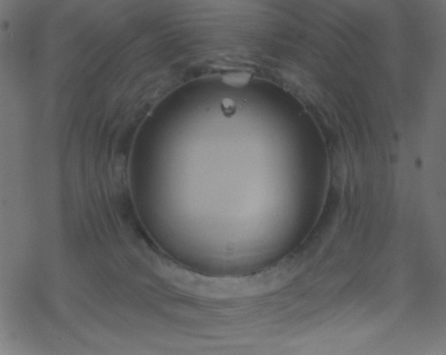 X0000068860034200605121928