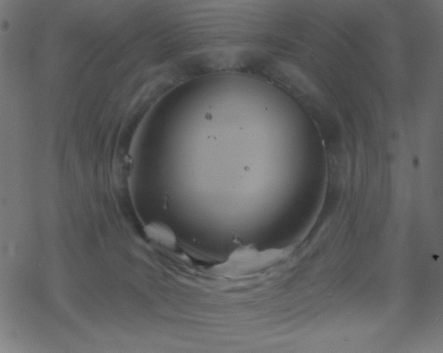 X0000068860035200605121928