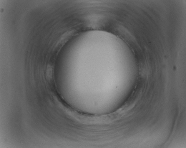 X0000068860036200605121928