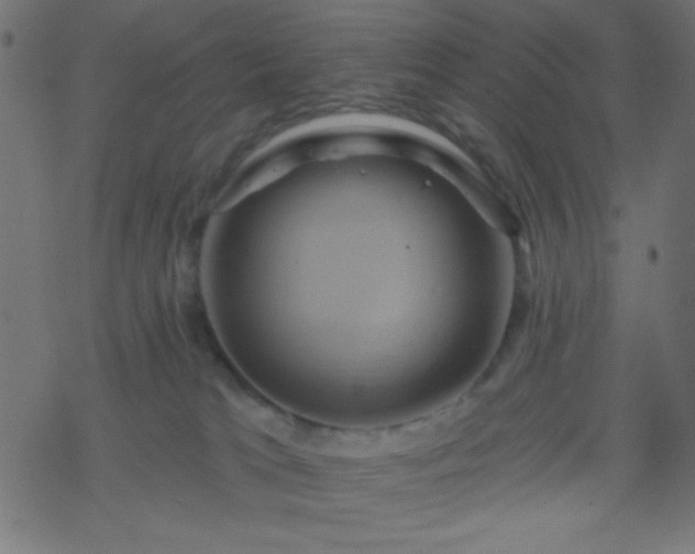 X0000068860037200605121928