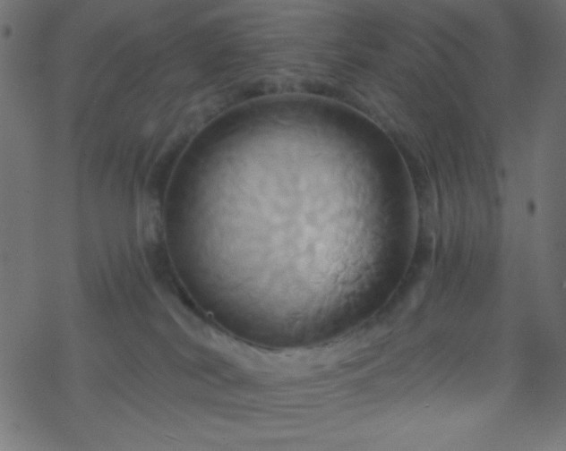 X0000068860038200605121928