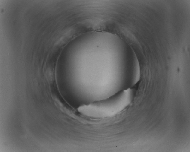 X0000068860039200605121928