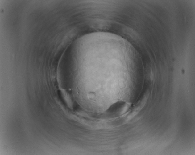 X0000068860040200605121928