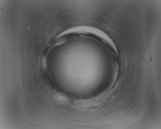 X0000068860041200605121928