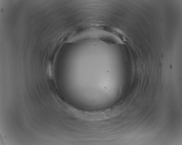 X0000068860042200605121928