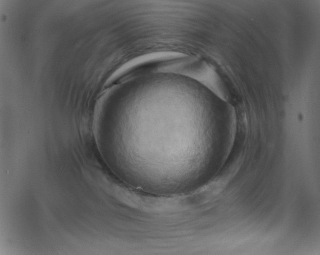 X0000068860044200605121928