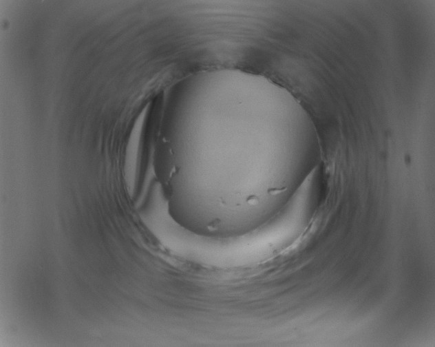 X0000068860045200605121928