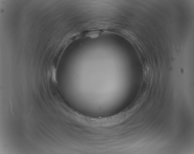 X0000068860046200605121928