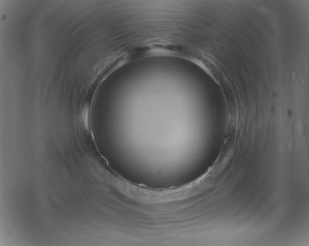 X0000068860047200605121928