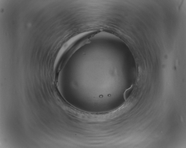 X0000068860048200605121928