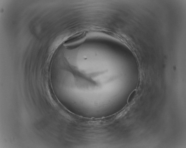 X0000068860049200605121927