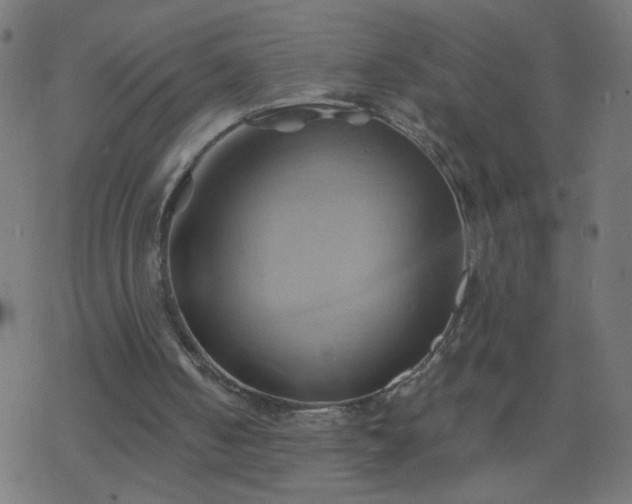 X0000068860050200605121927