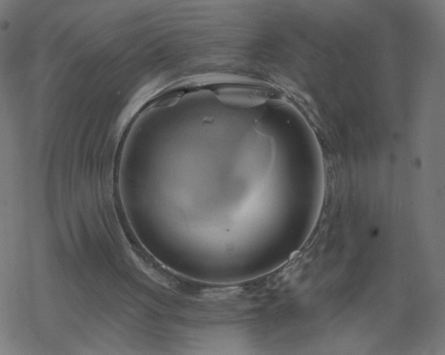 X0000068860051200605121927