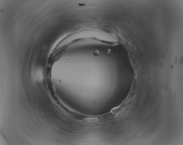 X0000068860052200605121927